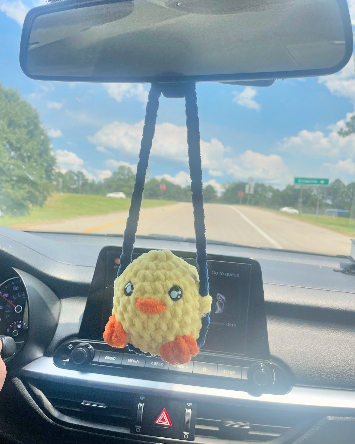 Ducky Car Swing