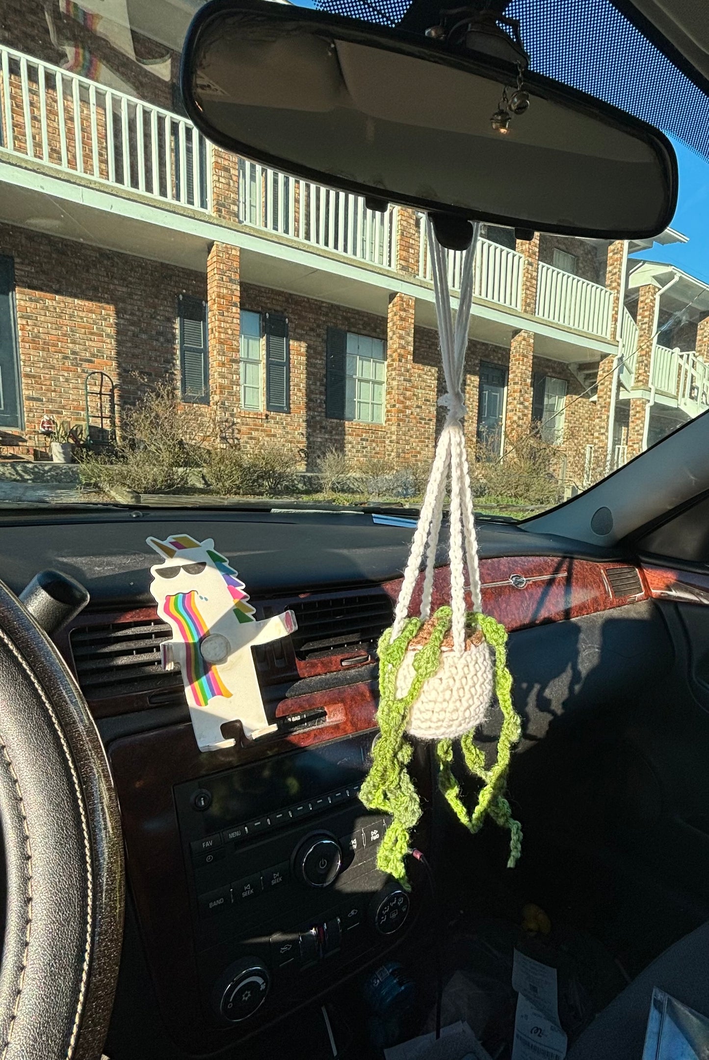 String of Pearl Car Plants