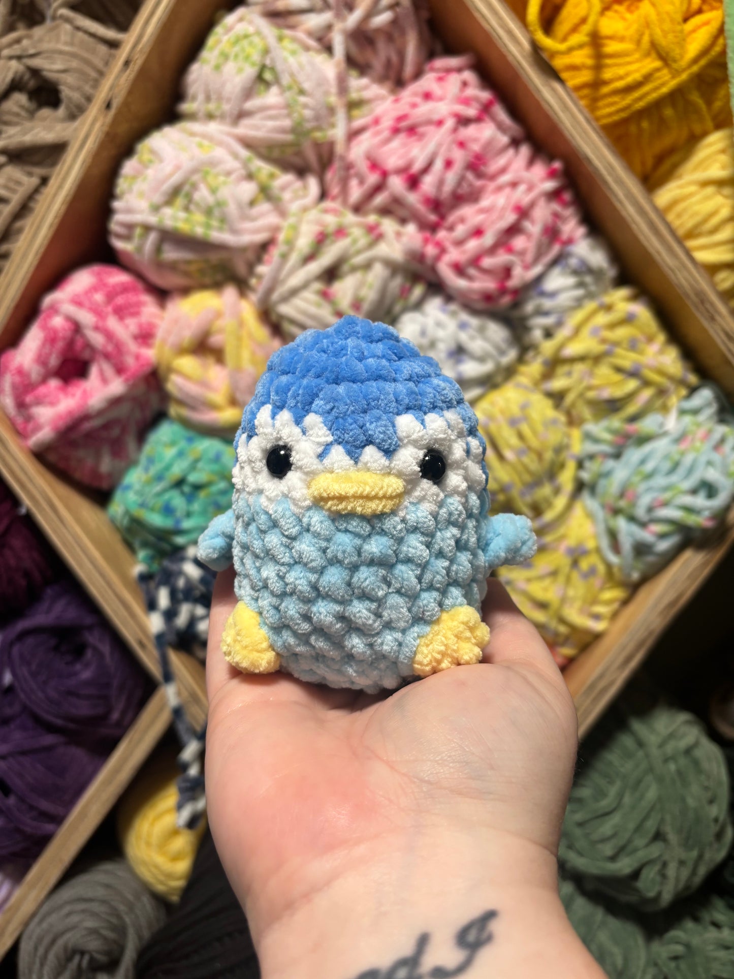 Pip the Penguin