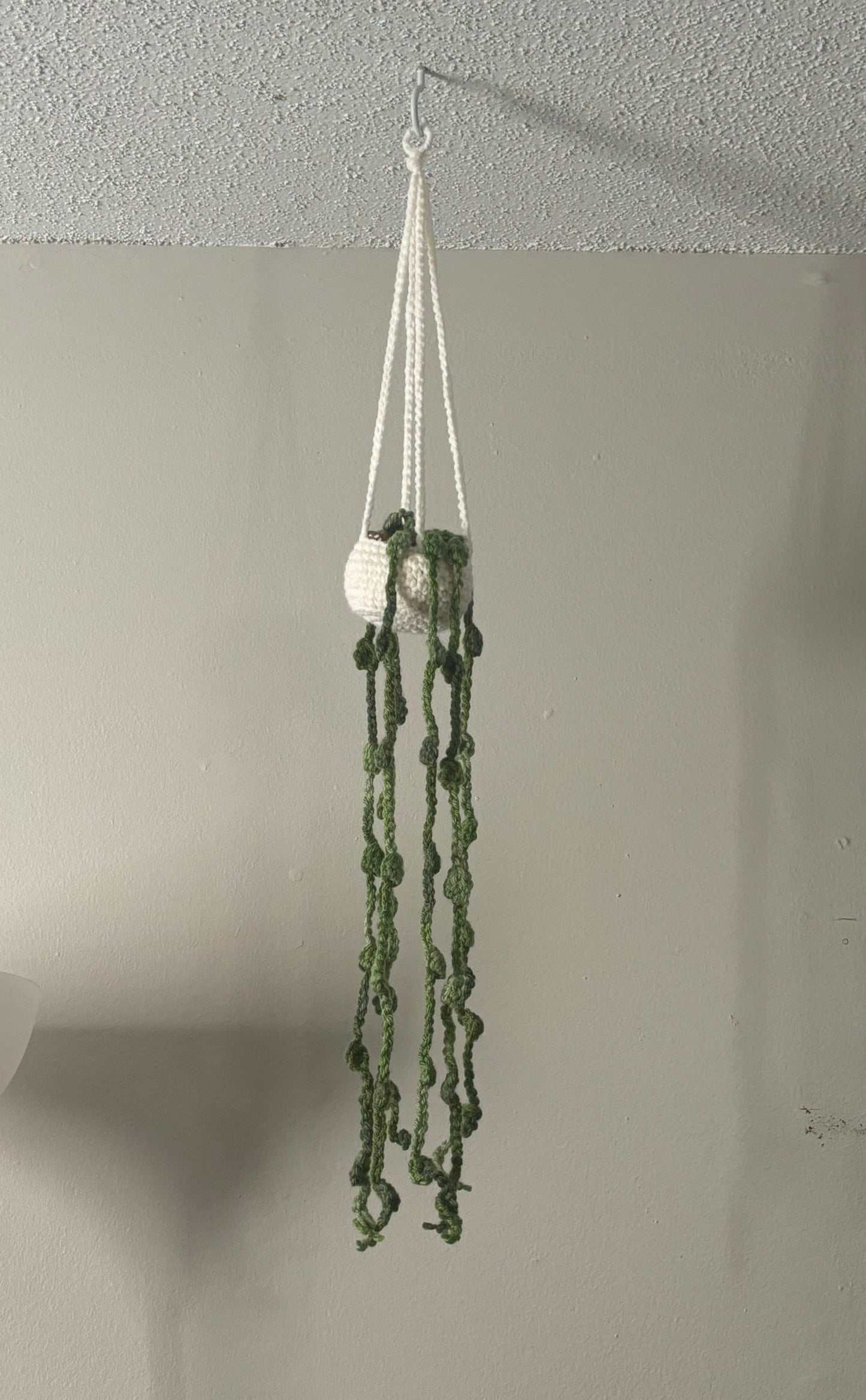 Strings of Pearls Crocheted Hanging Plant