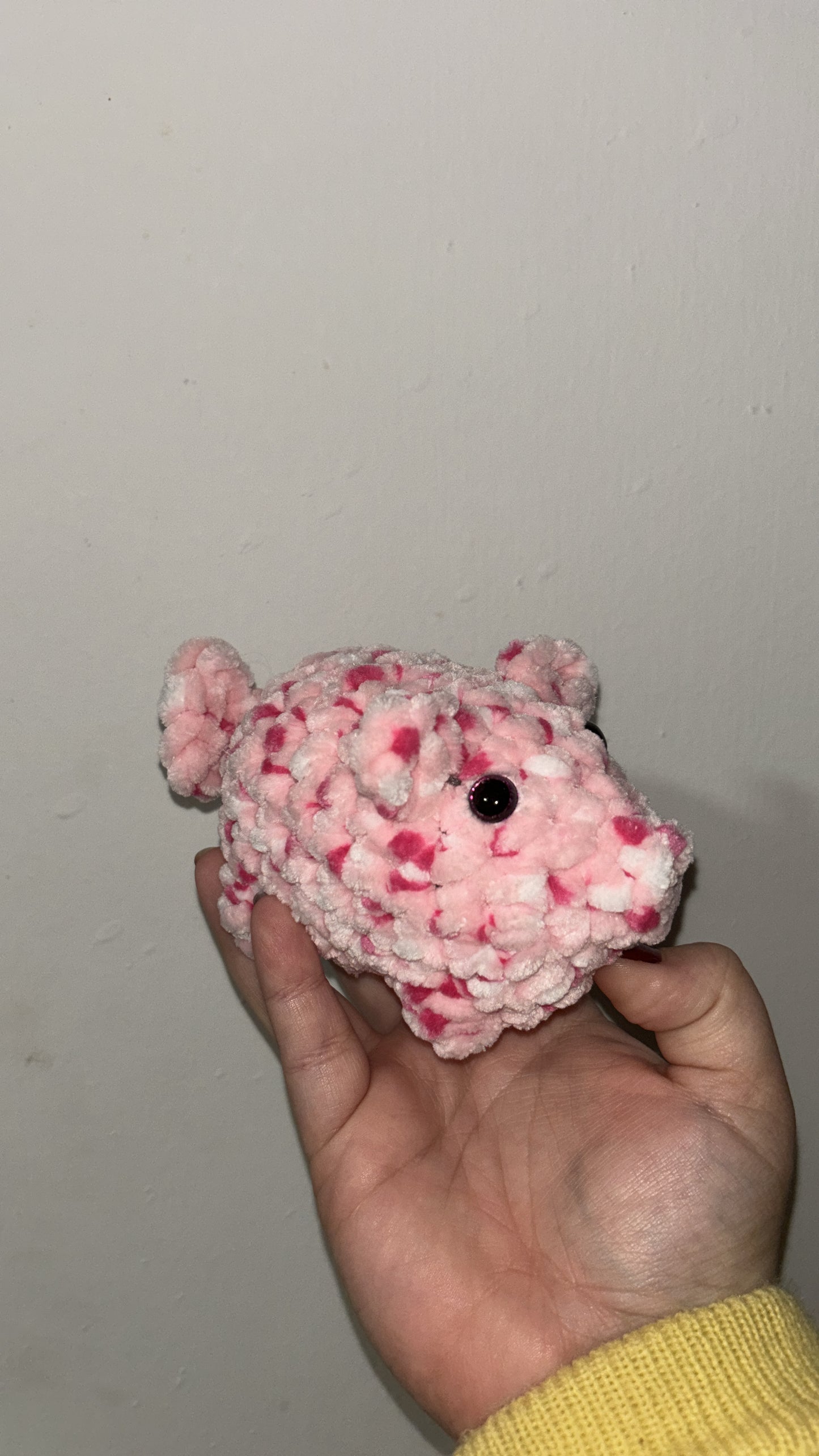 Mr. Pig