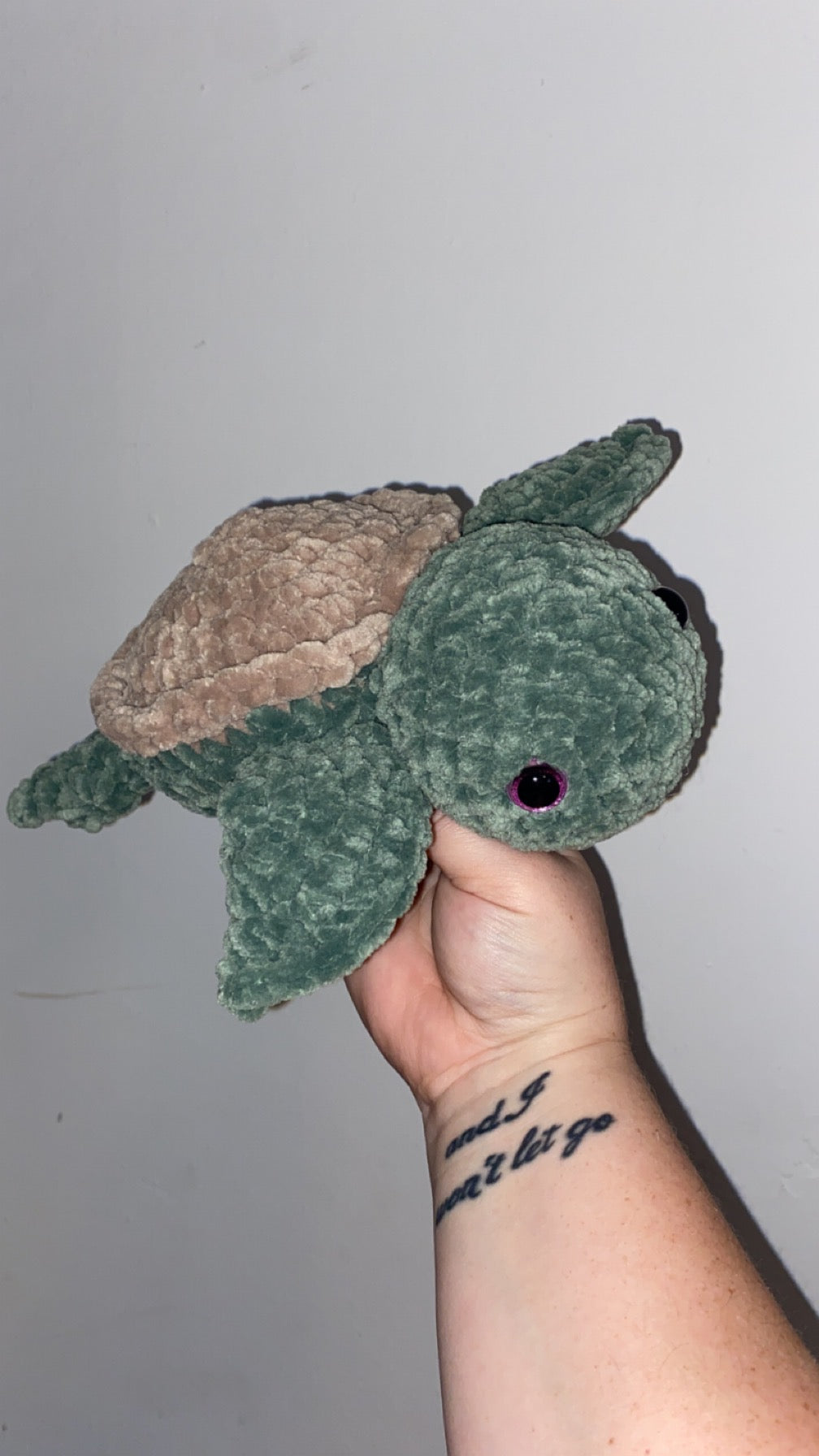 Shelly the Sea Turtle