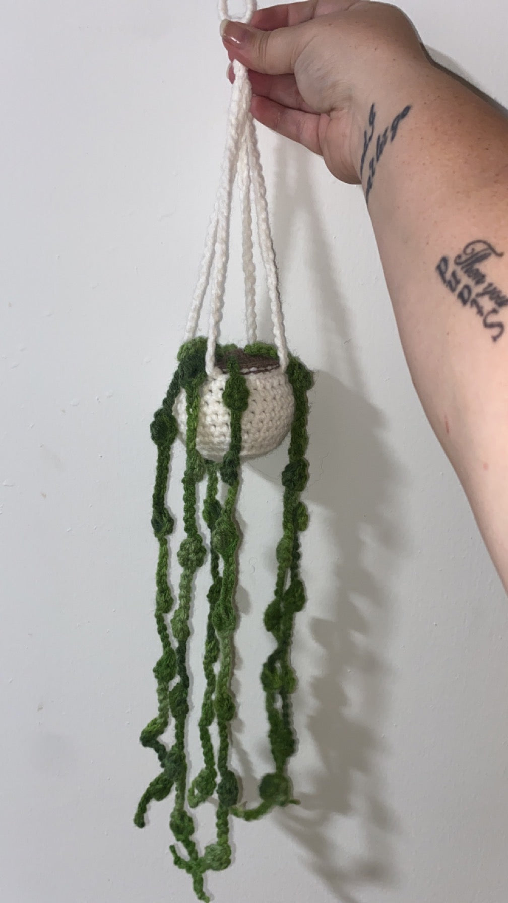 Strings of Pearls Crocheted Hanging Plant