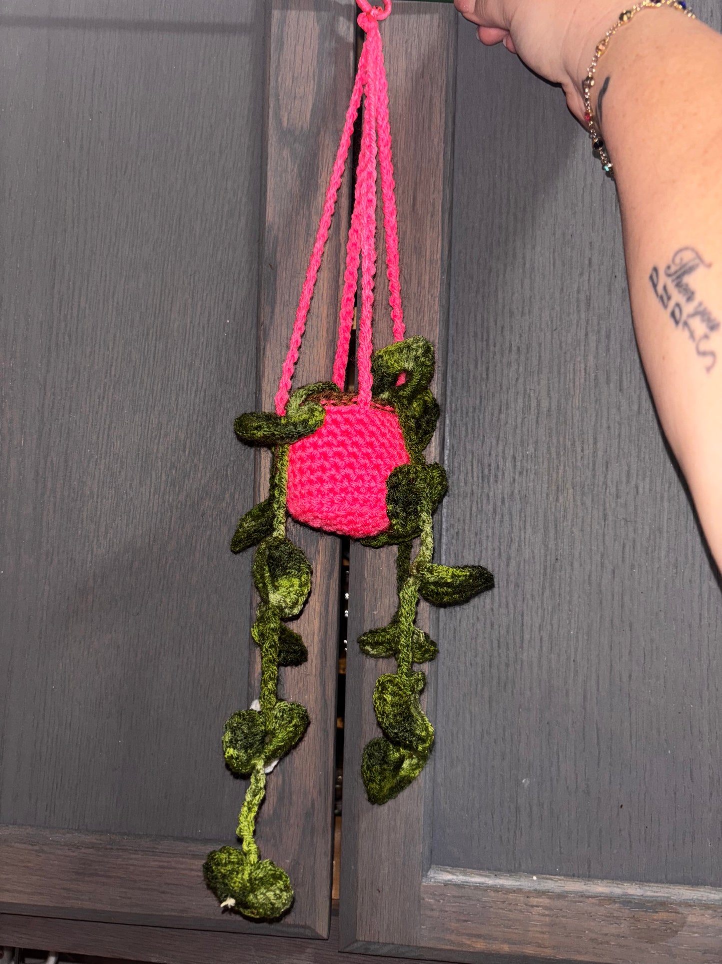 Strings of Hearts Crocheted Hanging Plant