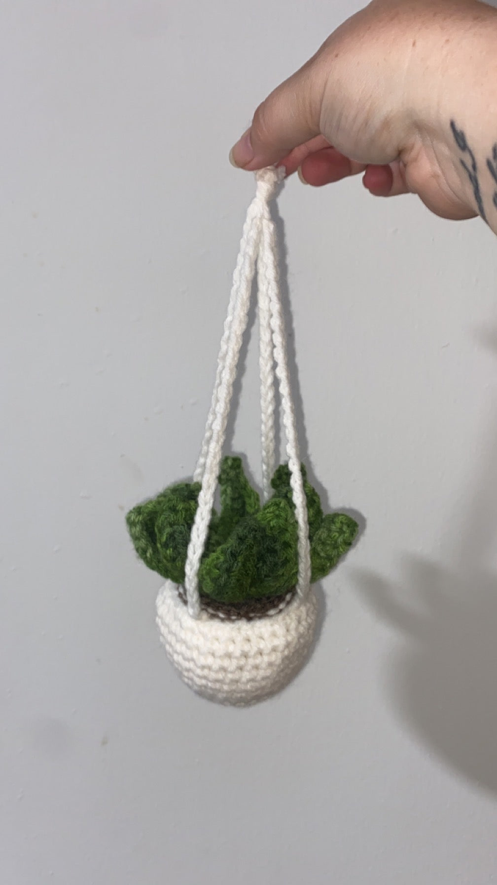 Succulent Crocheted Hanging Plants