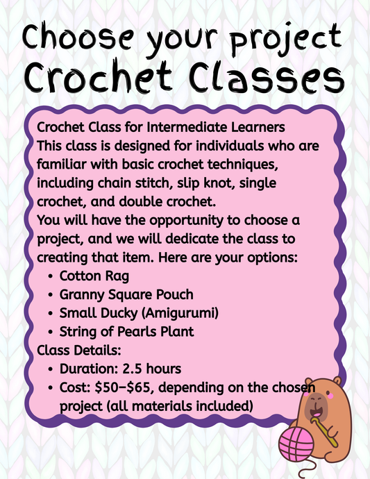 Choose your Project Crochet Classes One on One