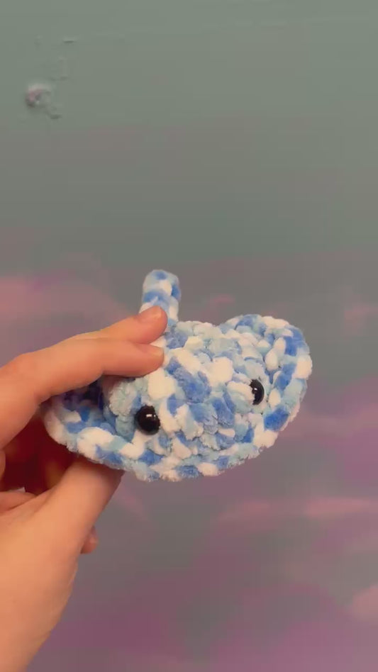Baby Stingray